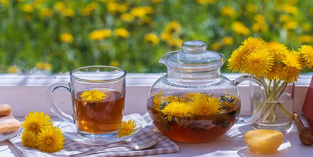 İbn-i Sina bin yıl önce tavsiye etti, bilim insanları doğruladı