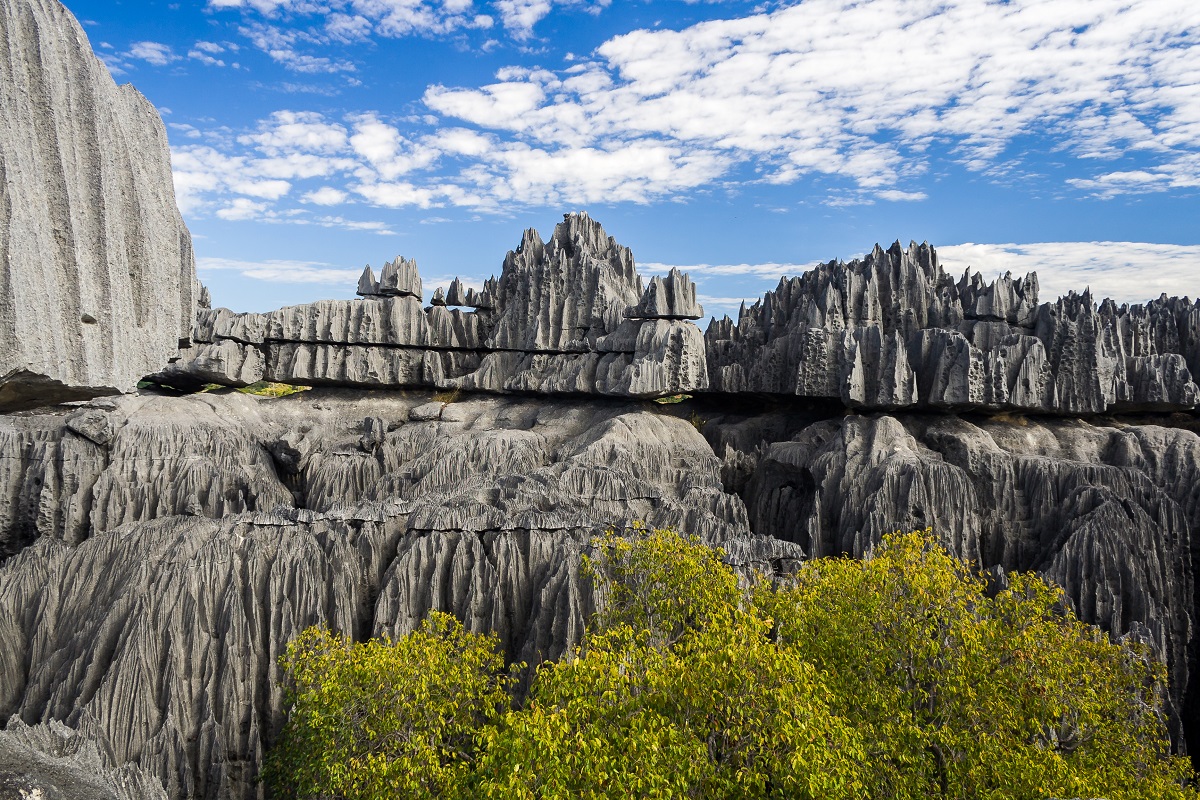 madagaskar bicaklar orami