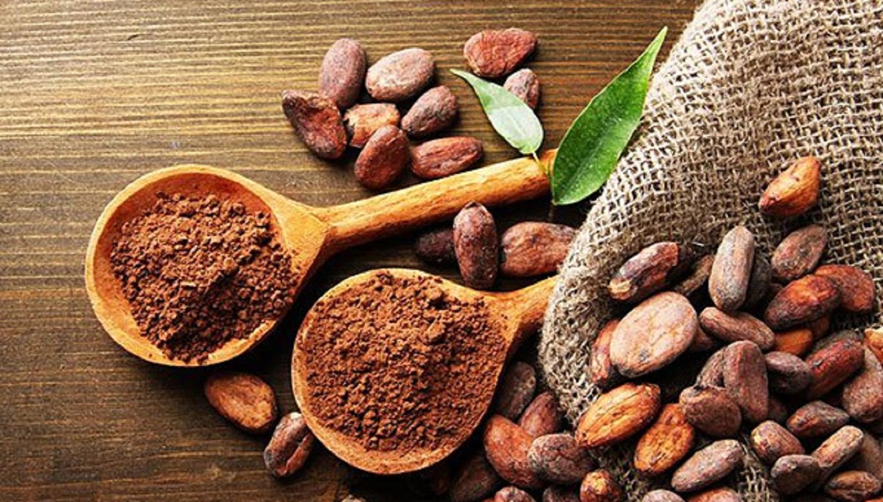 Kakao tüketmek beyne ve sinir sistemine iyi geliyor!
