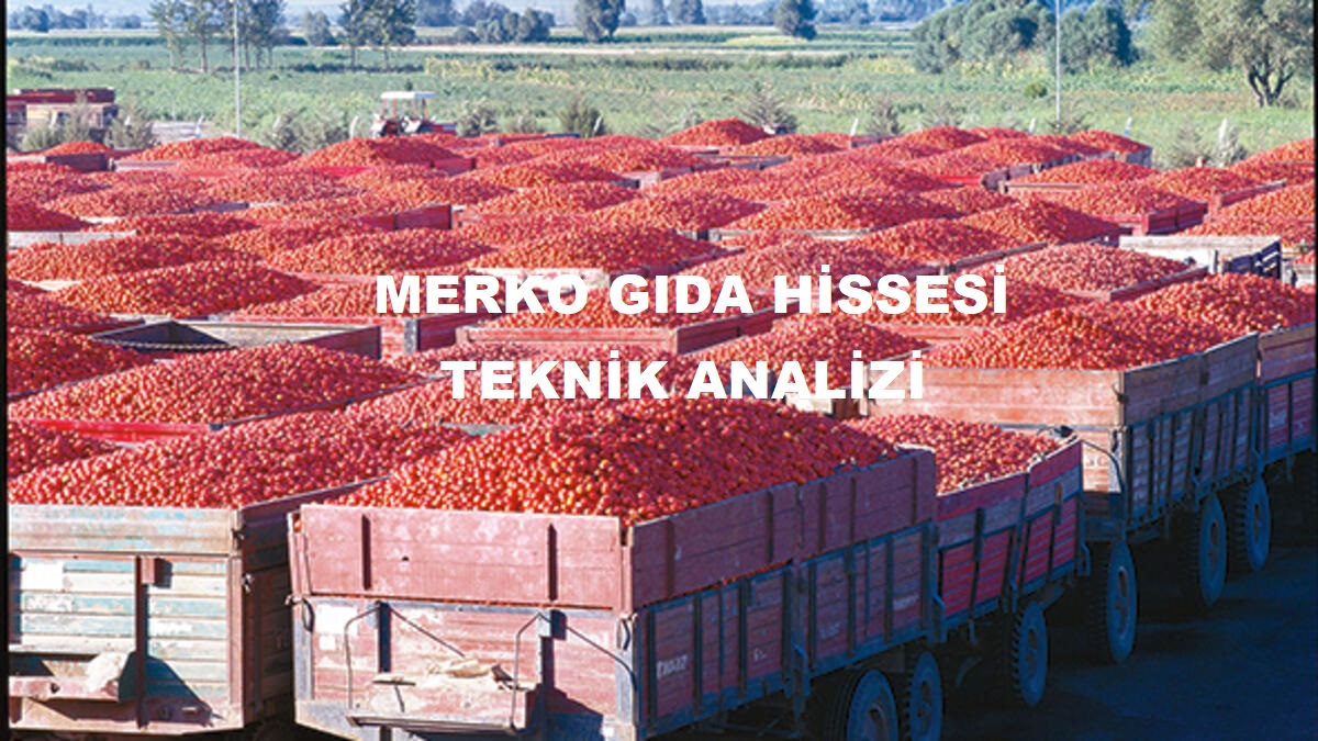 IST: MERKO Hisse Senedi (Merko Gıda Sanayi Ve Ticaret A.Ş.) 28 Aralık Teknik Analizi Yorumu