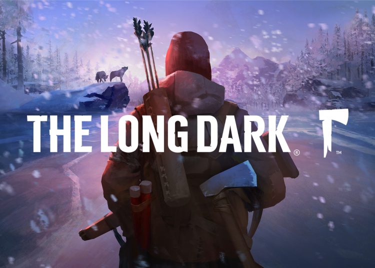 the long dark