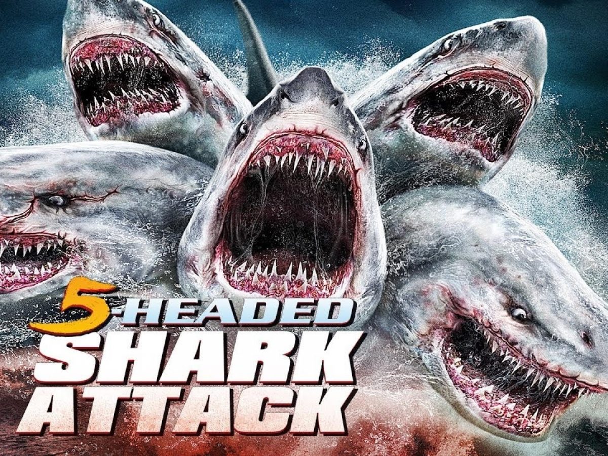 5 Basli Kopekbaligi Filmi Konusu Oyunculari Ve Nerede Cekilmistir 5 Headed Shark Attack