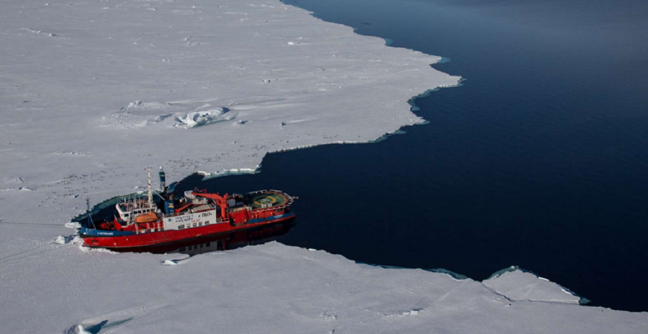 Antarktika: Bilim adamları “derin suların hızlı ve belirgin ısınmasını” gözlemliyor