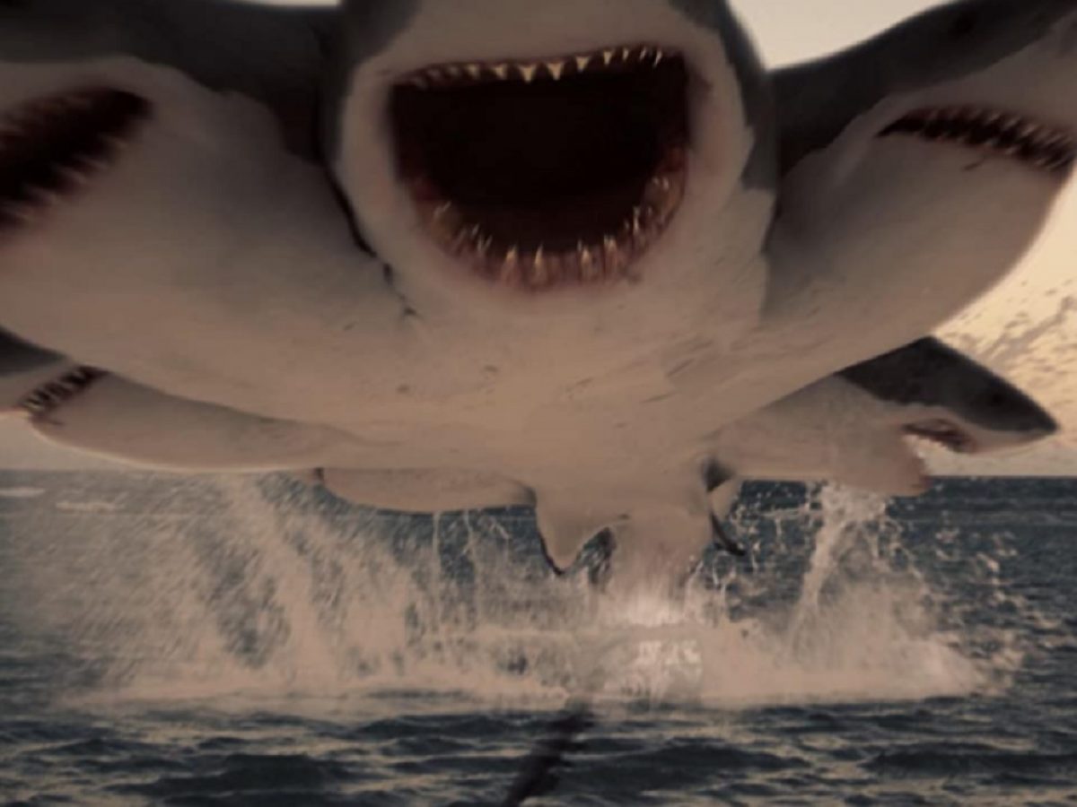 6 Basli Kopekbaligi Filmi Konusu Oyunculari Ve Nerede Cekilmistir 6 Headed Shark Attack