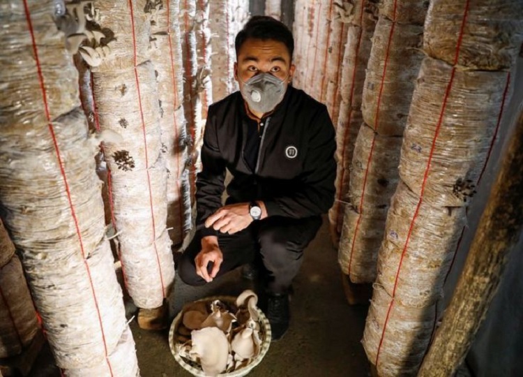 Avrupa’dan sınır dışı edilen Afgan adam, Kabil’de mantar yetiştiriciliğine öncülük ediyor
