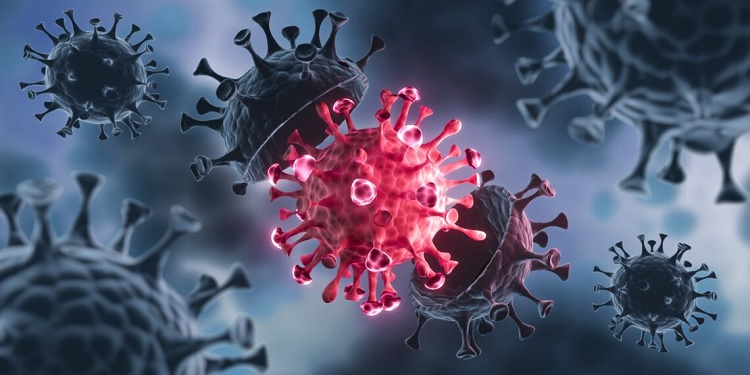 COVID-19 araştırması: Hangi organları koronavirüs bulaşıyor?