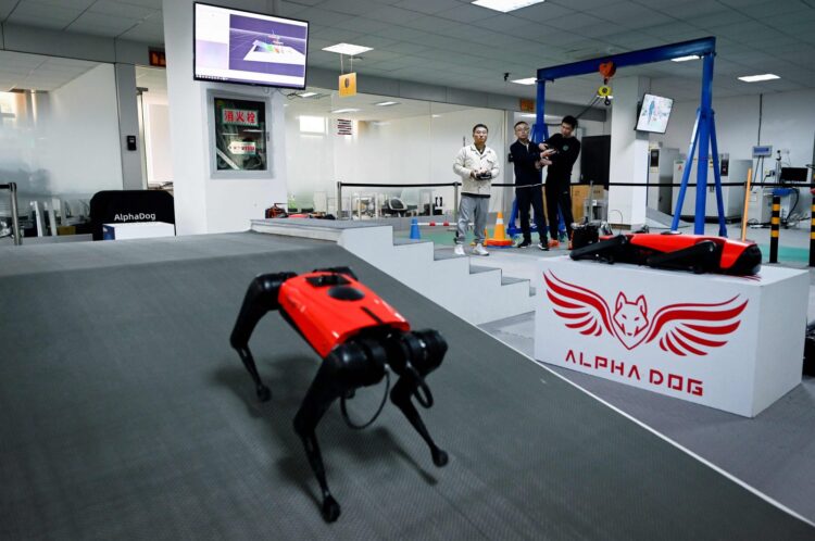 AlphaDog ile tanışın: Çinli şirket robot köpekler geliştiriyor