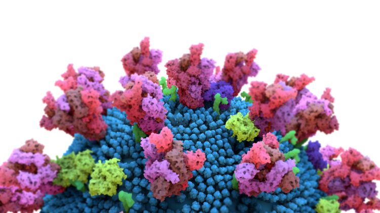 SARS-CoV-2: Şeker molekülleri, saldırı noktalarıyla birlikte koronavirüslere karşı koruyucu kalkanlar oluşturur.