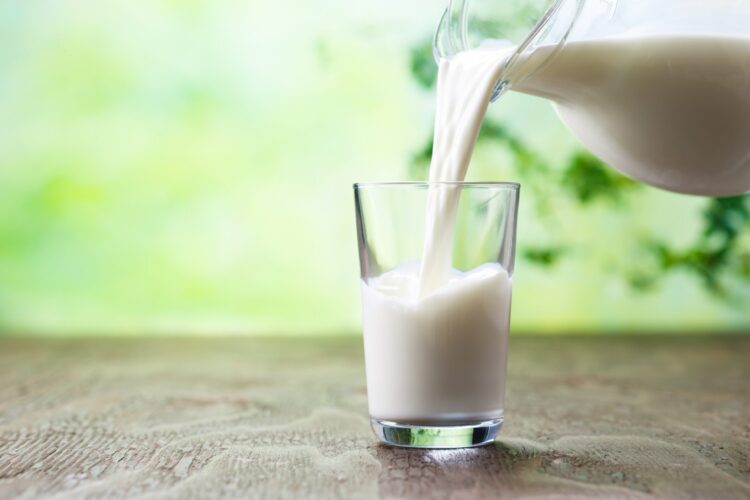İnek, koyun veya keçi sütü: en sağlıklı süt hangisidir? Üç tür sütten hangisi en besleyicidir? 