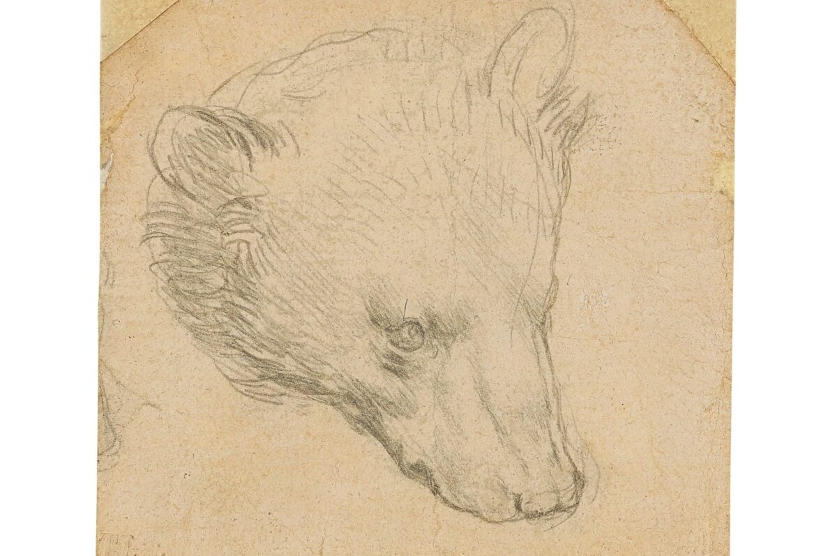 Da Vinci, Christie’s’de 16 Milyon Dolarlık Gelir Getirecek Çizim Yapıyor