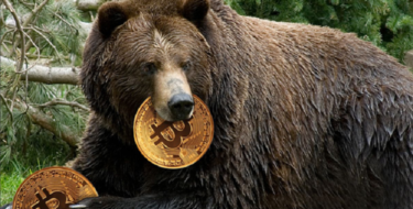 Bitcoin ayı piyasası