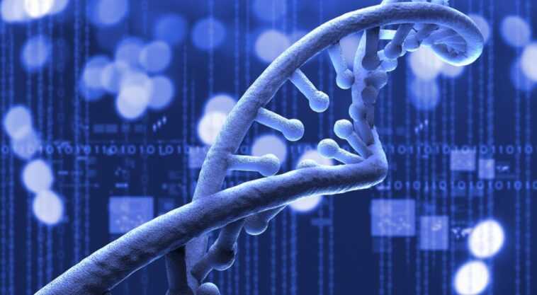 Çevresel DNA nedir ve nesli tükenmekte olan türlerin tanımlanmasına ve korunmasına nasıl yardımcı olabilir?