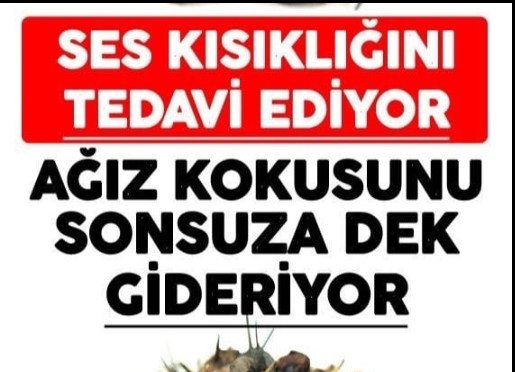 Ses kısıklığına ve ağız kokusuna çare kebabe otu