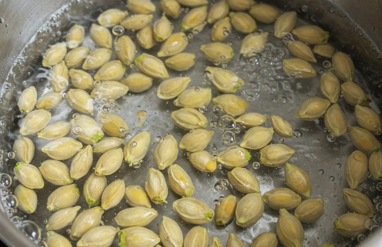 Limon çekirdeklerini kovaya atmayı bırakın