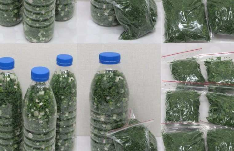 Maydanoz, Dereotu, Limon suyu: İşte nasıl hazırlanacağı