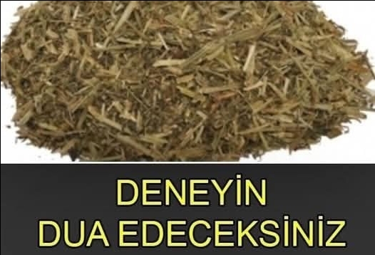 Mucizevi Bitki