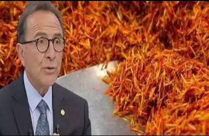 Beyinde yeni hücre oluşumunu destekliyor