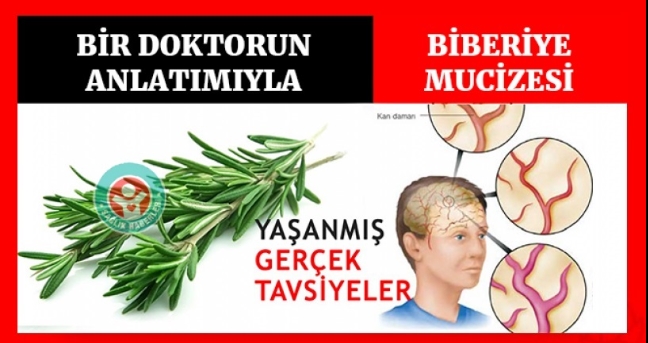 Bir Doktorun Anlatımıyla