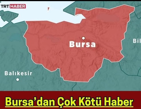 Bursada