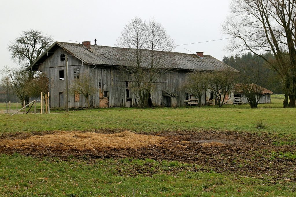 gt