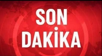 Ünlü seslendirme sanatçısı ve oyuncu