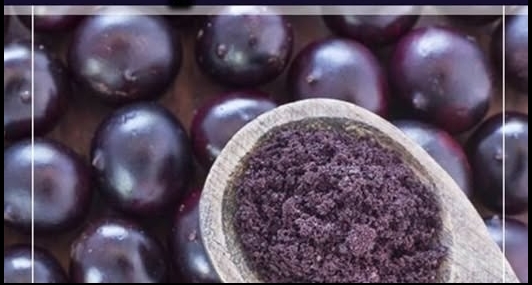 Kanserli Hücrelere Saldırıp Yok Ediyor