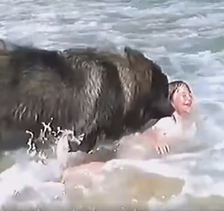 Köpek Küçük Kızın