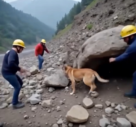Kurtarma ekibi ve köpek bebeği kurtardı