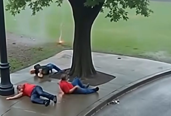 Ağacın altında duran dört adama
