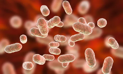 Mikrobiyota Nedir?