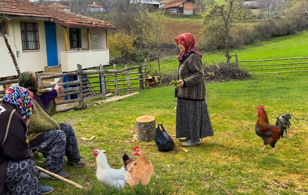 Köyün ağasının oğlu komşu köyün ağasının kızına sevdalanır