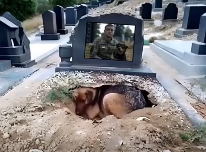 Birkaç gün sonra mezarlık yönetimi
