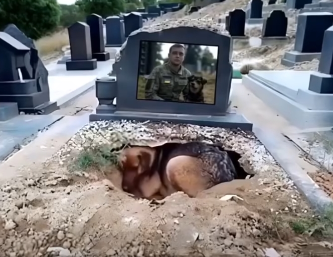 Birkaç gün sonra mezarlık yönetimi