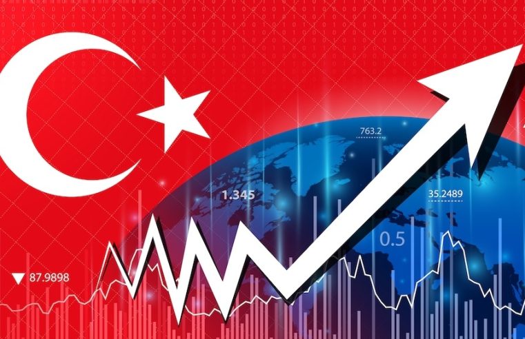 Türkiye Ekonomisinin Genel Görünümü