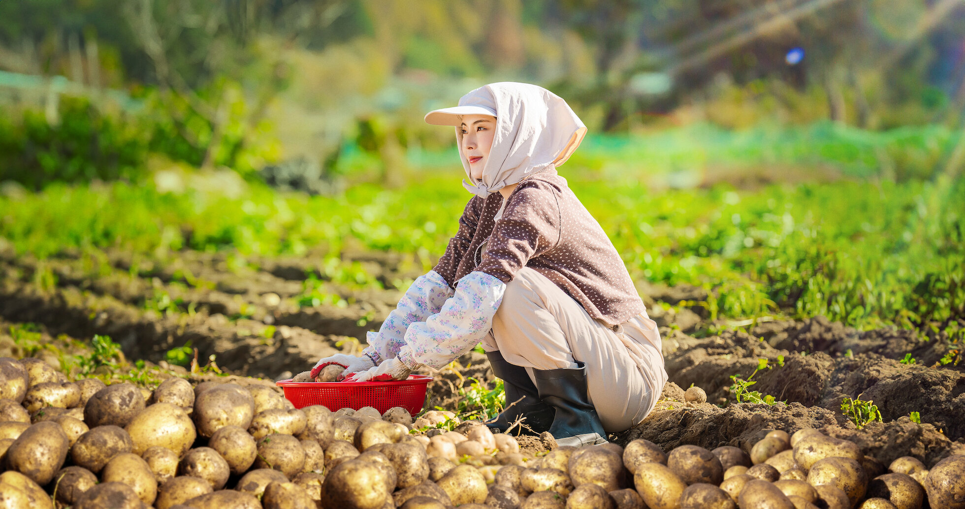Patates tarlasında tek başıma çalıyordum