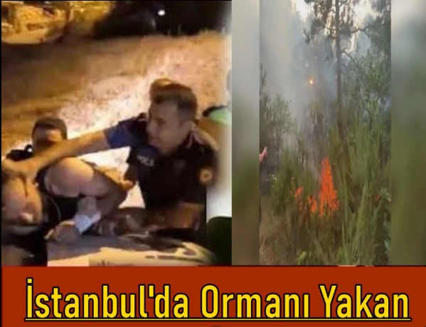 İstanbul’da