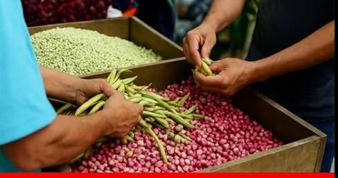 Bu hastalığa Sebeb oluyor