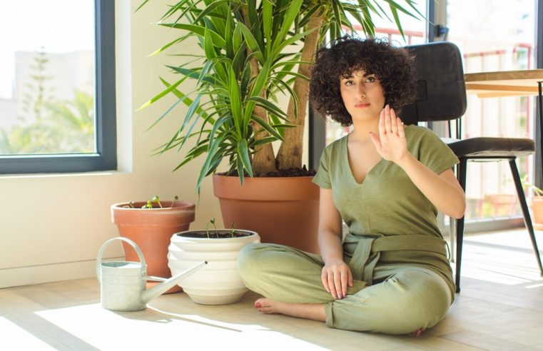 Zihinsel Sağlık İçin Mindfulness Teknikleri