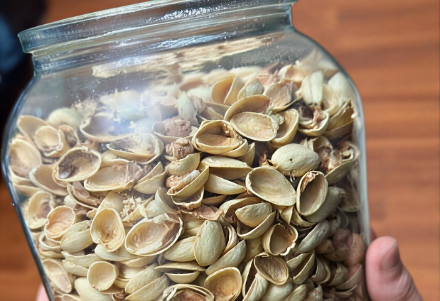 Antep Fıstığı Kabuklarının Gizli Gücü