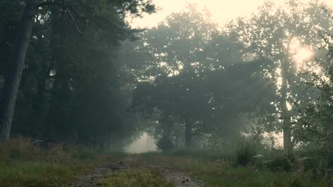 Gelinim benim evimde, beni istemedi