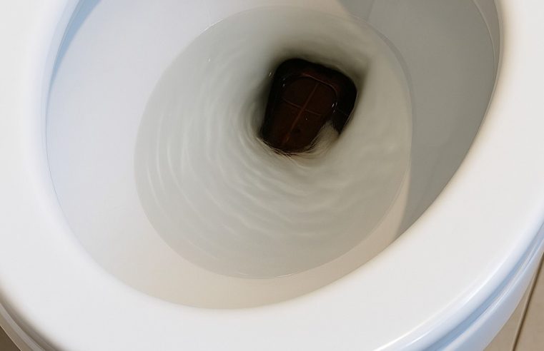 Bu Sabah Tuvalet Kapağını Açtım