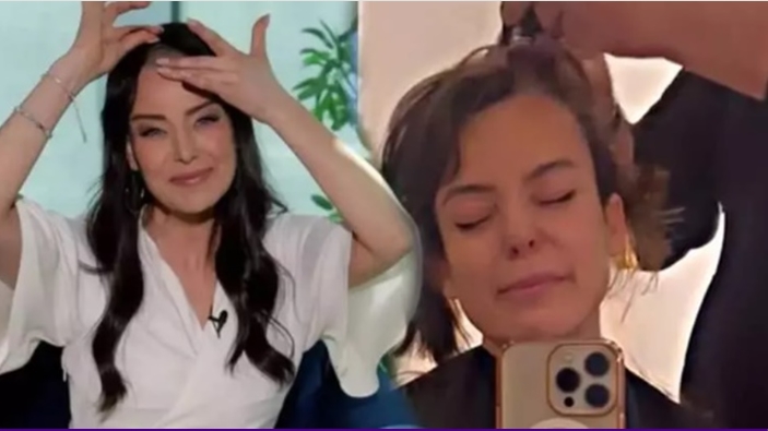 Nursel Ergin Hakkında