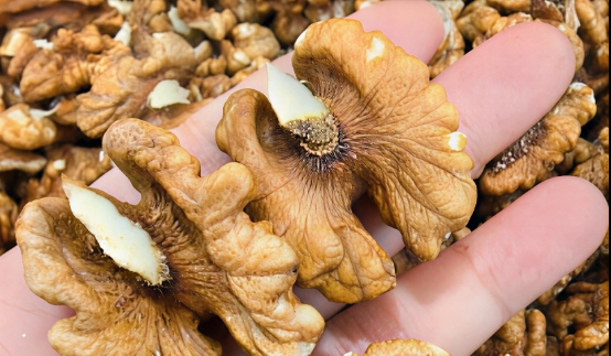 Her Gün Ceviz Yediğinizde Ne Olur