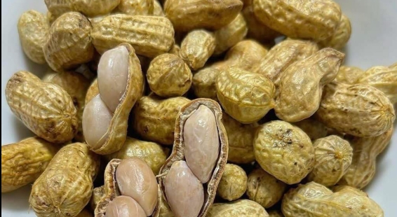 Doktorlar Yer Fıstığı Tüketmenin