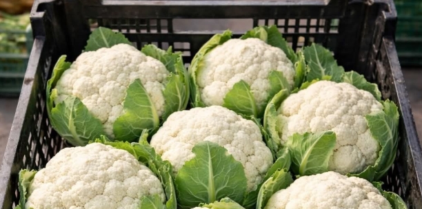 Doktorlar karnıbahar yemenin neden olduğu sağlık sebebini açıkladı