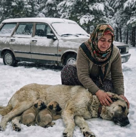Eve doğru giden genç bir kadın