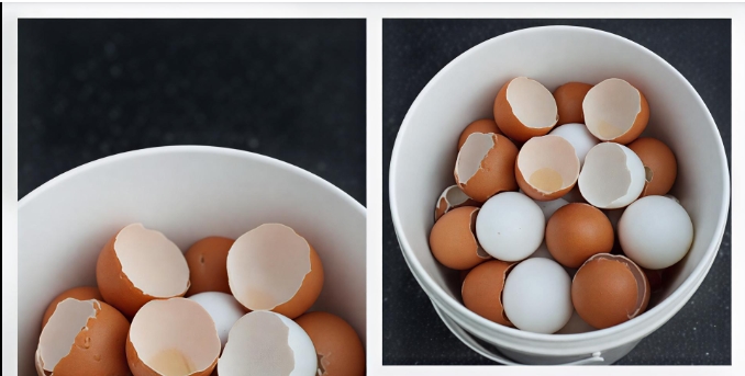 Yumurta Kabuklarını Kaynatın ve Kalsiyum Eksikliğine Elveda Deyin!