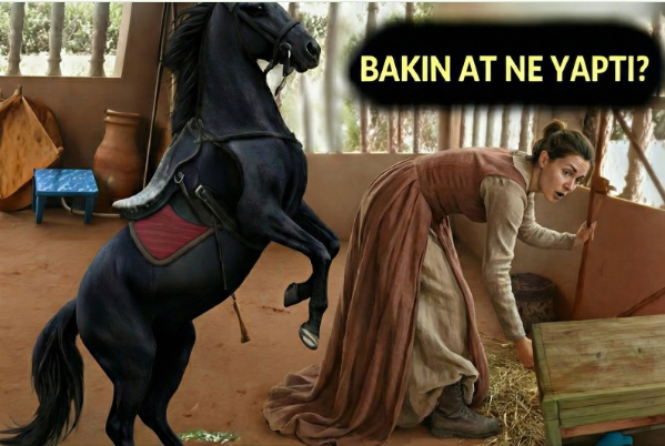 Ahırdaki Atın Değişik Halleri