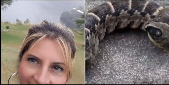 bahçemde “Şeytanın Parmakları”nın Büyüdüğünü Bulduğum Sabah