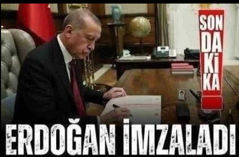 Erdoğan karar verdi